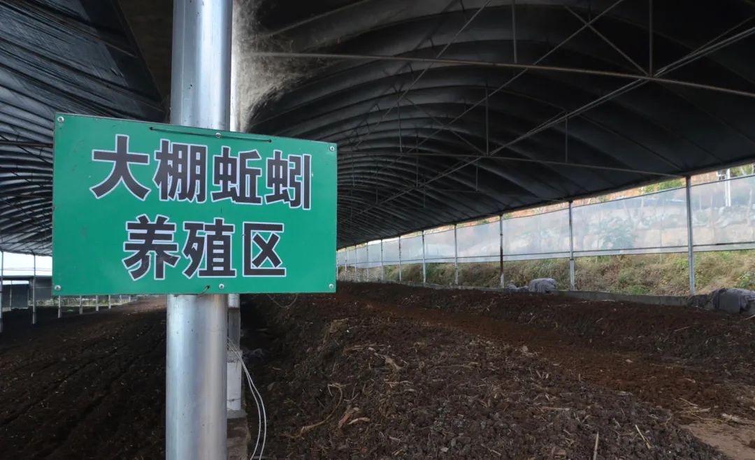 潔匠凈化·的凈工業(yè)除臭劑_的凈工業(yè)除臭劑高效治理蚯蚓養(yǎng)殖惡臭異味大、牛糞味濃