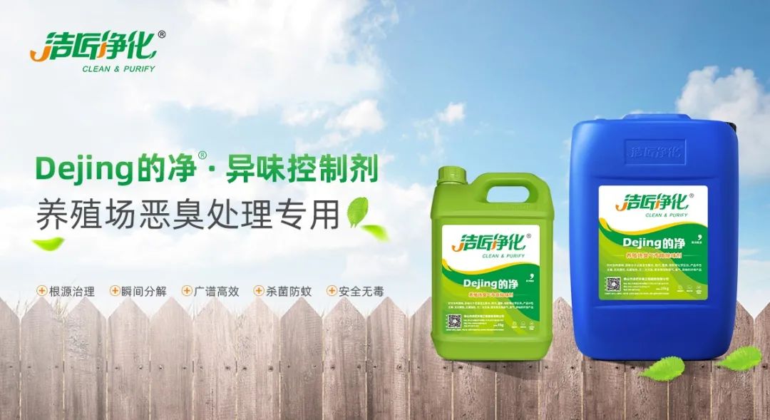 Dejing的凈養(yǎng)殖場除臭劑如何迅速清理養(yǎng)殖場臭味？.jpg
