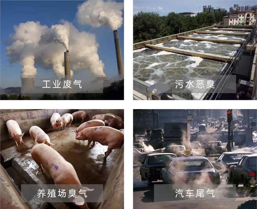 Dejing的凈工業(yè)除臭劑——解決臭味困擾的源頭！.jpg