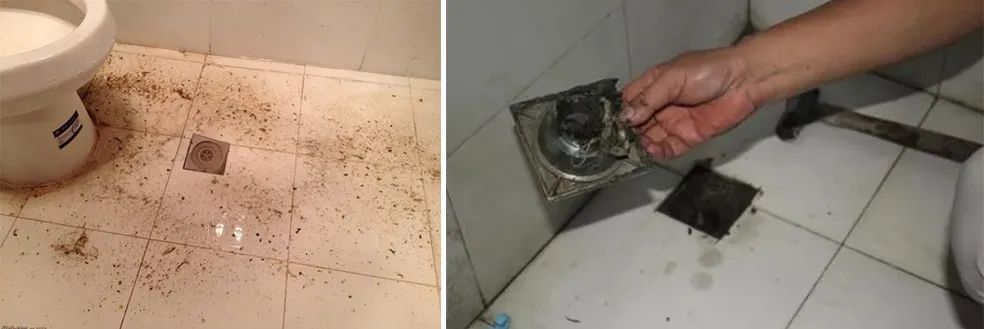 家里衛(wèi)生間老有異味，潔匠凈化教您如何解決難聞的臭味.jpg