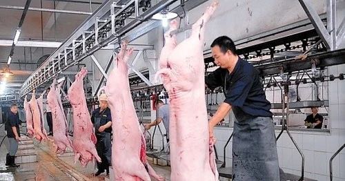 屠宰場臭氣影響周邊環(huán)境？解決辦法在這里.jpg